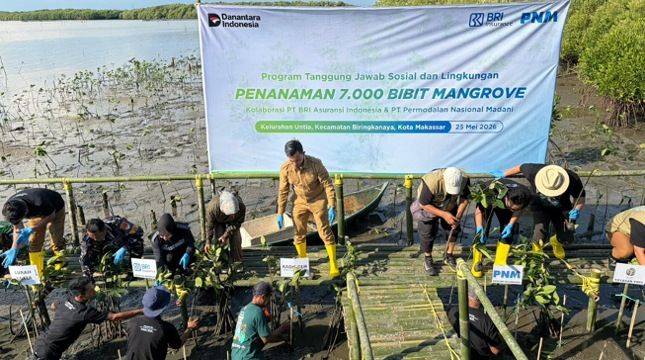 Usung Tema Green Impact, BRI Insurance dan PNM Tanam 7.000 Mangrove di Makassar