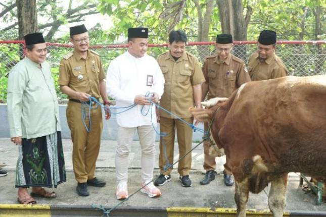 Dari Aceh ke Papua Barat: SIG Sebar 292 Hewan Kurban, Dukung UMKM Lokal