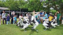 Amazing Aviary Race di Aviary Park Indonesia, Wisata Keluarga di Tangerang Selatan Makin Seru dengan Misi Berhadiah