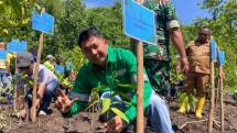 Peringati Hari Mangrove Sedunia 2026 PT Nusa Halmahera Minerals (NHM) dan Pemerintah Kabupaten Halmahera Utara perkuat implementasi ESG melalui aksi nyata penanaman mangrove di Kawasan Ekosistem Esensial (KEE) Desa Kao, Kabupaten Halmahera Utara, Selasa (28/7). 