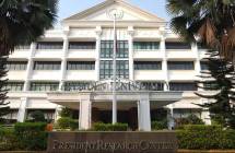 President University