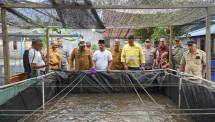 Panen Raya Perdana yang digelar Selasa, 1 September 2026 di Perikanan Modern Sadaka Farm, yang dikelola BUMDesa Toluaes, Desa Soahukum.