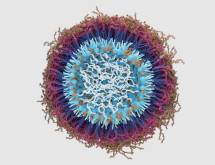 QurCan Therapeutics