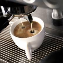Kopi Sumatera (Foto Dok Industry.co.id)
