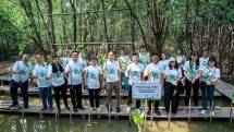 Perkuat Strategi Bisnis Berkelanjutan, ZTE Tanam 300 Bibit Mangrove di PIK