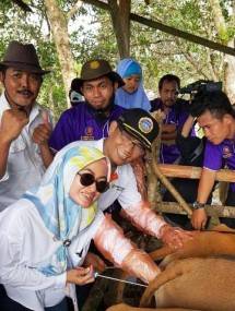 Punya Potensi, Kementan Dorong Luwu Utara Garap Pembibitan Sapi Potong (Foto Dok Industry.co.id)