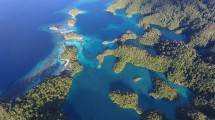 Halmahera Selatan, Spot Diving Terbaik di Provinsi Maluku Utara (Foto: Kepala Bidang Promosi Halmahera Selatan)