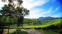 Smicecomm Dorong Kota Semarang Sebagai Destinasi Mice