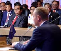 Ditengah Ketegangan Indonesia dan Uni Eropa, Bisnis Kelapa Sawit Makin Menjanjikan