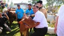 Mentan Andi Amran Sulaiman (Dok Industry.co.id)