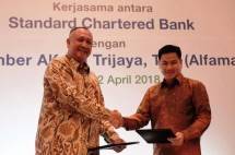 Dukungan SCBI, Alfamart Buka 800 Gerai Tahun Ini