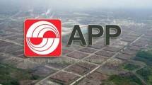 APP Sinar Mas