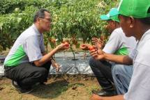 Gelar Expo, Ewindo Luncurkan 15 Varietas Sayuran Baru