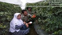 Harga Aneka Cabai dan Bawang Selama Ramadhan Stabil
