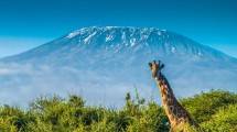 Gunung Kilimanjaro, Afrika (Foto: www.rei.com)