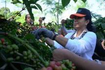 Menteri BUMN Rini Soemarno (Dok Industry.co.id)