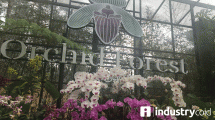 Orchid Forest Punya Empat Ikon Wisata Menarik, Apa Saja Ya?