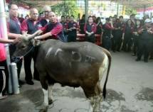 Makna Idul Adha yang Sesungguhnya: Lebih dari Sekadar Hewan Kurban