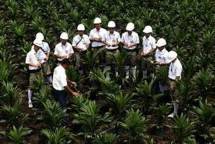 Asian Agri (Foto Dok Industry.co.id)