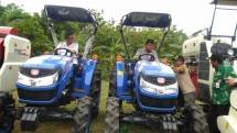 Pengembangan Padi Inpago 8 di Lahan Kering