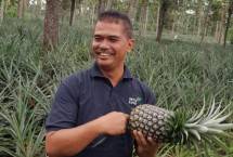 Kementan Dorong Kemitraan dan Hilirisasi Nanas Subang