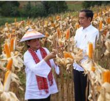 Presiden Jokowi(Foto Setkab)