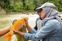 Bupati Lebak Iti Octavia Jayabaya (Foto Dok Bantennews)