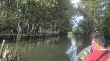 Serunya Wisata Sambil Melestarikan Mangrove di Pesisir Bekasi