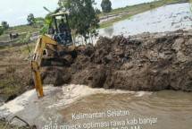 Perbaikan Infrastruktur Dongkrak Produksi Pangan Rawa
