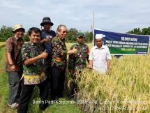 Petani benih di desa