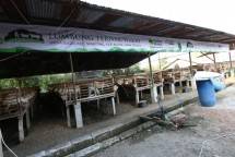 Lumbung ternak wakaf ACT di Blora 