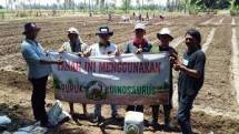 Agar tanaman cepat tumbuh dan berbuah, kebun perlu disirami dengan pupuk yang membuat tanah bernutrisi. 