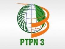  Seger Budiarjo, Plt Dirut PT Perkebunan Nusantara III