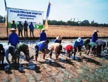 Kementan Bantu Karanganyar Mitigasi Kekeringan Dengan Gerakan Tanam