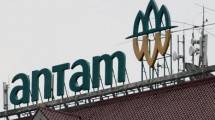 Gedung Antam 