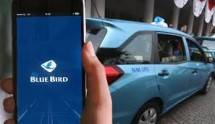 Blue Bird (foto Ist)