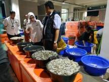  Perdagangan Ikan di Pasar Ikan Modern Tak Terganggu Virus Corona 