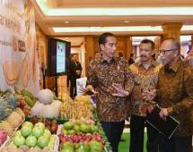 Virus Corona Bukan Penghalang, Asparindo Siap Pasok Ikan ke China 1000 Ton Per Hari
