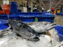 Cegah Penularan Corona, Perum Perindo Layani Blanja Ikan #darirumahaja