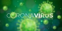 Waduh Gawat! Mutasi Virus Corona Udahh Sampai di Singapura, Pemerintah Diminta Hati-hati