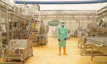 Pekerja Peternakan Industri olahan sus Greenfields
