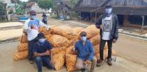 Tuban Panen Benih Jagung Hibrida Hingga 850 Ton