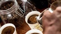Ilustrasi Kopi