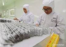 Kinerja Industri Farmasi Nasional PT Kalbe Farma Tbk Moncer, Siapkan Dividen Rp937,5 Miliar