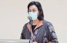 Menkeu Sri Mulyani (ist) 