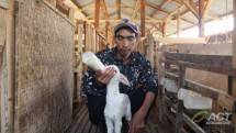 Peternak hewan qurban (Doc: ACT)