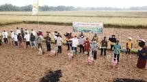 Petani menanam kedelai (Doc: Kementan)