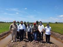 Pembangunan Food Estate di Kapuas dan pulang pisau Kalimantan Tengah dilakukan dengan intensifikasi atau pengoptimalan lahan.
