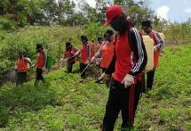 Petani menyemprotkan ke tanaman hindari penyakit