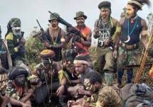IPW Desak Kapolri Listyo Sigit Prabowo Perintahkan Personel Satgas Operasi Nemangkawi Terus Buru Kelompok Kriminal Bersenjata (KKB) di Papua